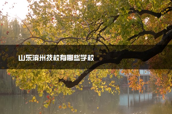 山东滨州技校有哪些学校