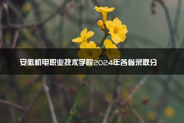 安徽机电职业技术学院2024年各省录取分数线 多少分能考上