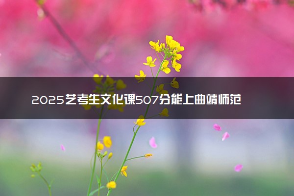 2025艺考生文化课507分能上曲靖师范学院吗