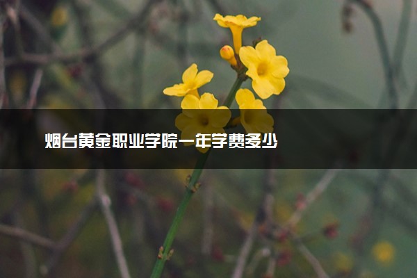 烟台黄金职业学院一年学费多少