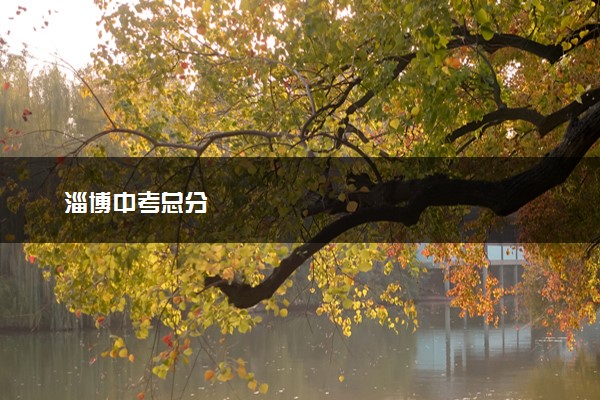 淄博中考总分