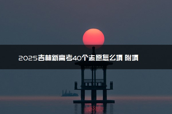 2025吉林新高考40个志愿怎么填 附填报规则及志愿样表