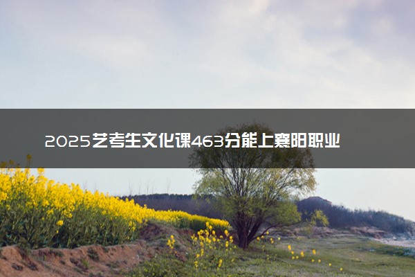 2025艺考生文化课463分能上襄阳职业技术学院吗