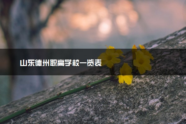 山东德州职高学校一览表