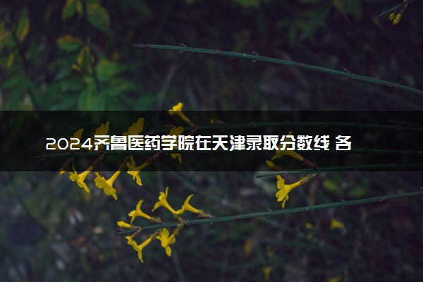 2024齐鲁医药学院在天津录取分数线 各专业分数及位次