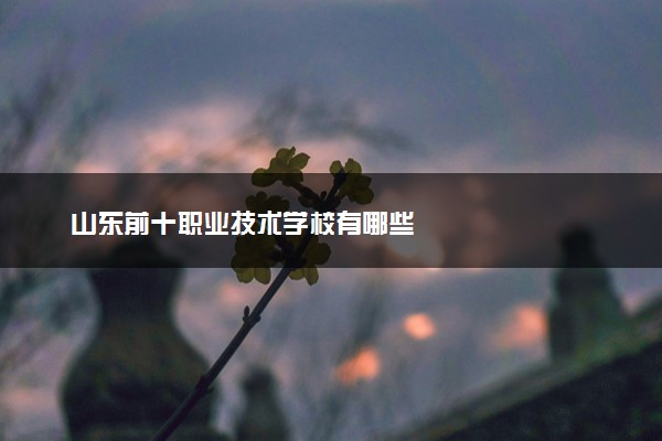 山东前十职业技术学校有哪些