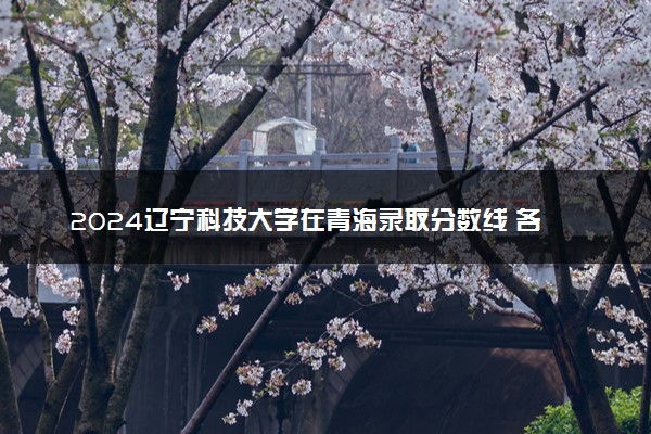 2024辽宁科技大学在青海录取分数线 各专业分数及位次