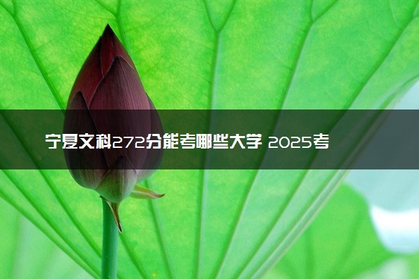 宁夏文科272分能考哪些大学 2025考生稳上的大学名单