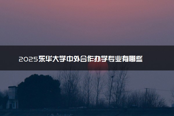 2025东华大学中外合作办学专业有哪些 代码是什么