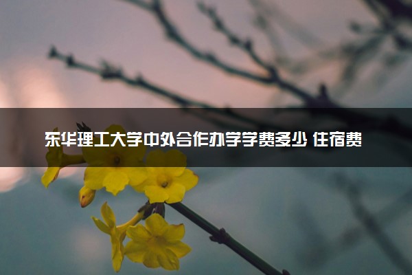 东华理工大学中外合作办学学费多少 住宿费多少