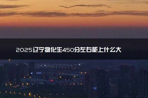 2025辽宁物化生450分左右能上什么大学 可以报考的院校名单