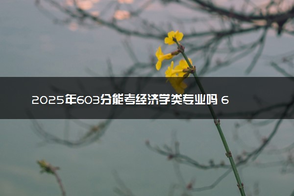 2025年603分能考经济学类专业吗 603分经济学类专业大学推荐