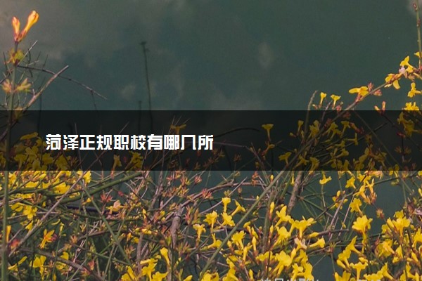 菏泽正规职校有哪几所