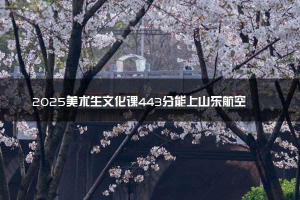 2025美术生文化课443分能上山东航空学院吗