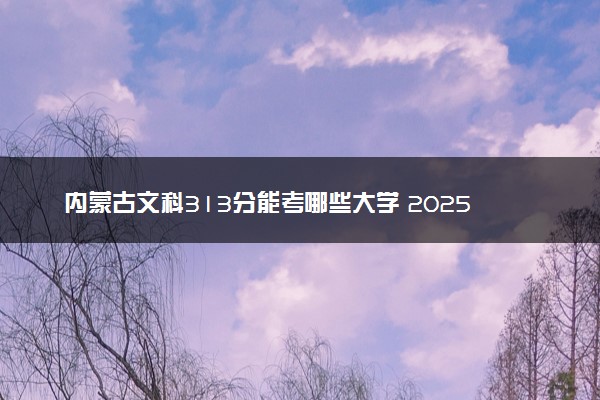 内蒙古文科313分能考哪些大学 2025考生稳上的大学名单