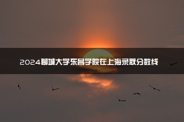2024聊城大学东昌学院在上海录取分数线 各专业分数及位次