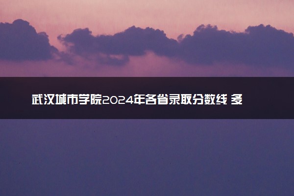 武汉城市学院2024年各省录取分数线 多少分能考上