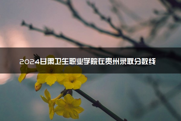 2024甘肃卫生职业学院在贵州录取分数线 各专业分数及位次
