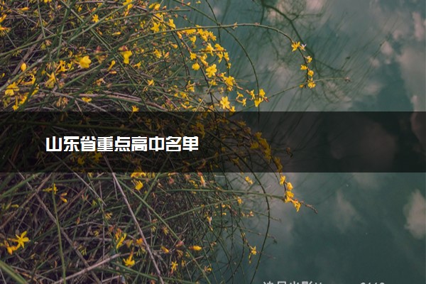 山东省重点高中名单