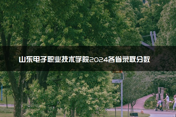 山东电子职业技术学院2024各省录取分数线及最低位次是多少
