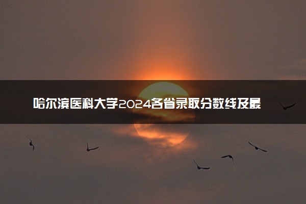 哈尔滨医科大学2024各省录取分数线及最低位次是多少