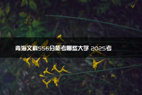 青海文科556分能考哪些大学 2025考生稳上的大学名单