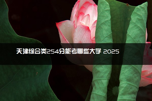 天津综合类254分能考哪些大学 2025考生稳上的大学名单