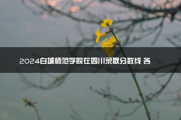 2024白城师范学院在四川录取分数线 各专业分数及位次