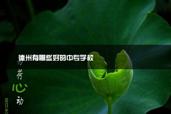 德州有哪些好的中专学校