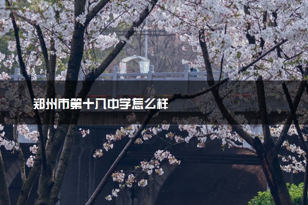 郑州市第十八中学怎么样