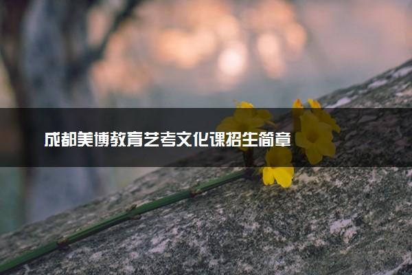 成都美博教育艺考文化课招生简章