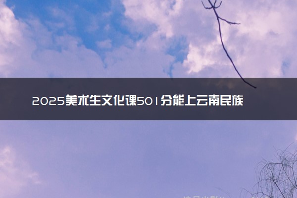 2025美术生文化课501分能上云南民族大学吗