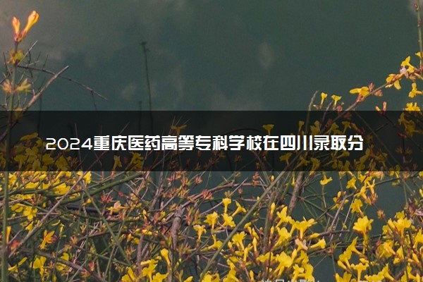 2024重庆医药高等专科学校在四川录取分数线 各专业分数及位次