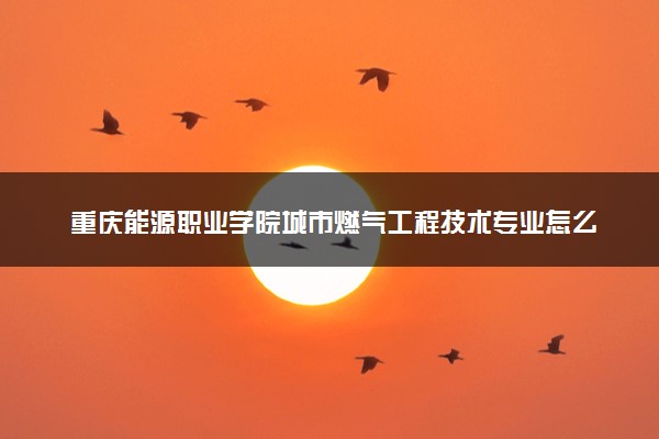 重庆能源职业学院城市燃气工程技术专业怎么样 录取分数线多少