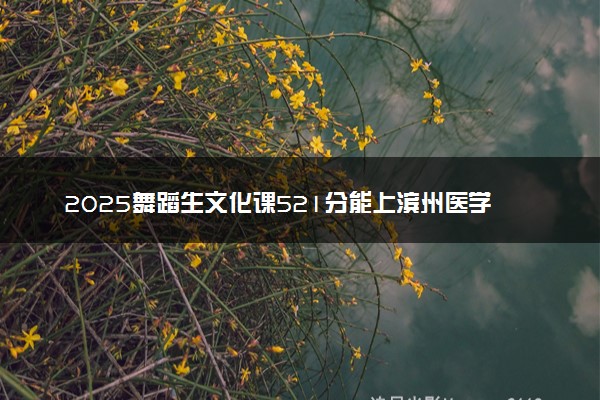 2025舞蹈生文化课521分能上滨州医学院吗