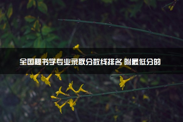 全国秘书学专业录取分数线排名 附最低分的大学(2025年参考)