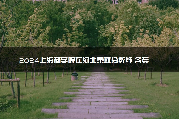 2024上海商学院在河北录取分数线 各专业分数及位次