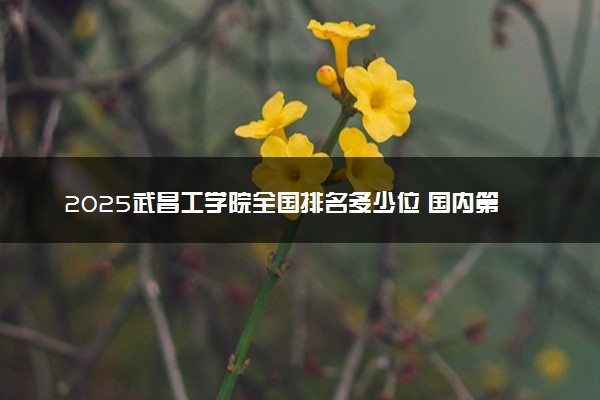 2025武昌工学院全国排名多少位 国内第几名