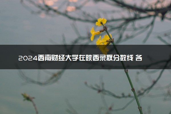 2024西南财经大学在陕西录取分数线 各专业分数及位次