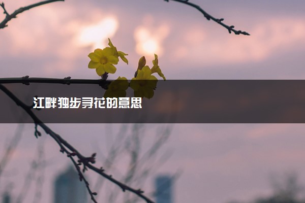 江畔独步寻花的意思