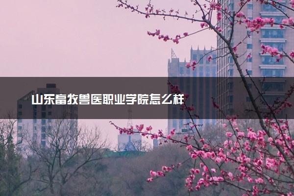 山东畜牧兽医职业学院怎么样