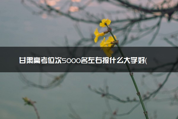 甘肃高考位次5000名左右报什么大学好（2025年参考）
