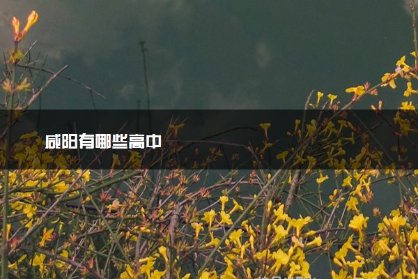 咸阳有哪些高中