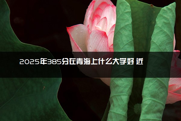 2025年385分在青海上什么大学好 近三年录取分数线是多少