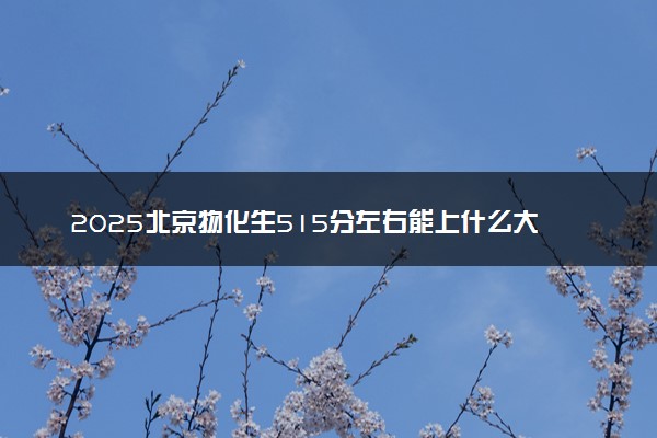 2025北京物化生515分左右能上什么大学 可以报考的院校名单