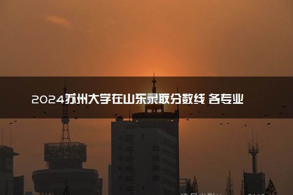 2024苏州大学在山东录取分数线 各专业分数及位次