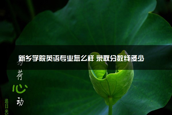 新乡学院英语专业怎么样 录取分数线多少