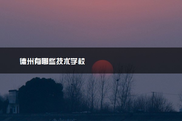 德州有哪些技术学校