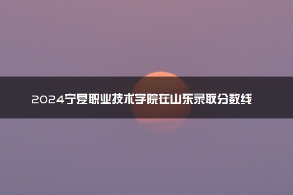 2024宁夏职业技术学院在山东录取分数线 各专业分数及位次