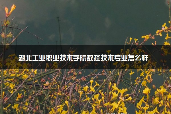 湖北工业职业技术学院数控技术专业怎么样 录取分数线多少